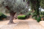 italy-sicily-october-11283