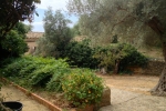 italy-sicily-october-11284