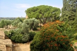 italy-sicily-october-11293