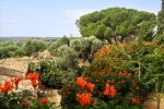 italy-sicily-october-11294