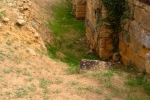 italy-sicily-october-11312