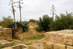 italy-sicily-october-11315