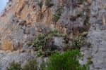 italy-sicily-october-11456