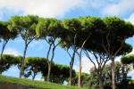 italy-sicily-october-11876