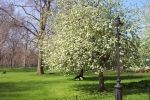 London-Trip-March-2002- - 212