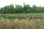 the-low-lands-2007-1270