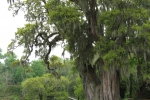 the-low-lands-2007-1278