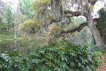 the-low-lands-2007-1302