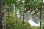 the-low-lands-2007-1309
