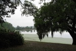 the-low-lands-2007-1337