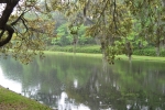 the-low-lands-2007-1342
