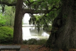 the-low-lands-2007-1343