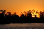 the-low-lands-2007-1429