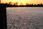 the-low-lands-2007-1432