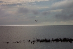 mackinaw-island-2002-0406