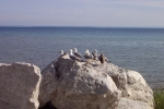 mackinaw-island-2002-0407