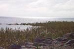 mackinaw-island-2002-0408