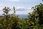 mackinaw-island-2002-0478