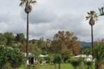 napa-sanfrancisco-2165