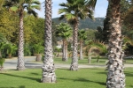 napa-sanfrancisco-2173