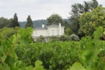 napa-sanfrancisco-2226
