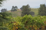 napa-sanfrancisco-2227