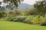 napa-sanfrancisco-2235