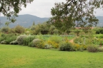 napa-sanfrancisco-2238