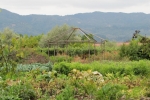 napa-sanfrancisco-2244