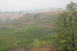 napa-sanfrancisco-2257