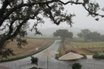 napa-sanfrancisco-2258