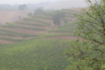 napa-sanfrancisco-2259