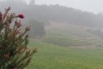 napa-sanfrancisco-2260
