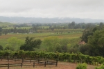 napa-sanfrancisco-2264