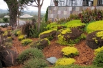 napa-sanfrancisco-2268