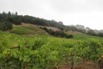 napa-sanfrancisco-2271