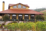 napa-sanfrancisco-2273
