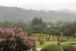 napa-sanfrancisco-2277