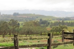 napa-sanfrancisco-2278