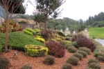 napa-sanfrancisco-2280