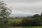 napa-sanfrancisco-2281