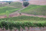napa-sanfrancisco-2282