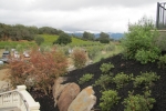 napa-sanfrancisco-2291