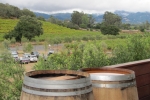 napa-sanfrancisco-2293