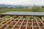 napa-sanfrancisco-2320