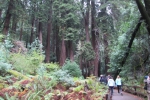 napa-sanfrancisco-2344