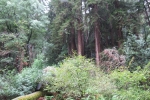 napa-sanfrancisco-2345