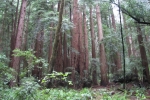 napa-sanfrancisco-2353