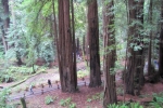 napa-sanfrancisco-2362