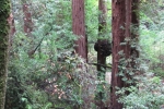 napa-sanfrancisco-2363